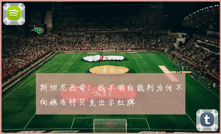 斯坦尼西奇：我不明白裁判为何不向施洛特贝克出示红牌