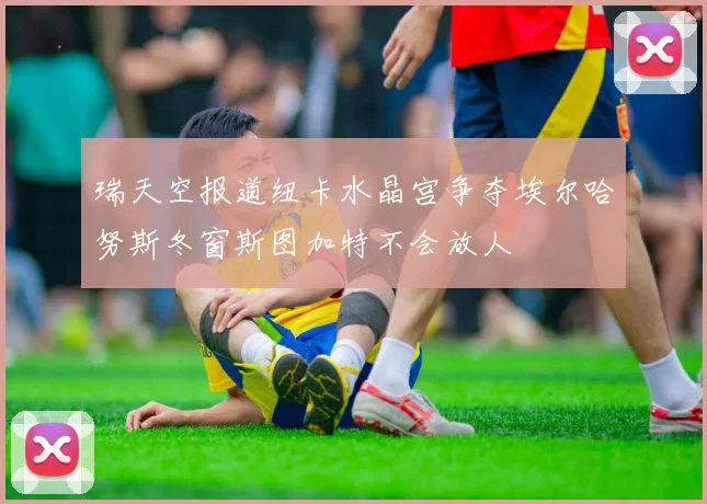 瑞天空报道纽卡水晶宫争夺埃尔哈努斯冬窗斯图加特不会放人