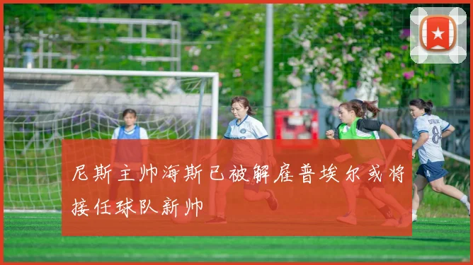 尼斯主帅海斯已被解雇普埃尔或将接任球队新帅